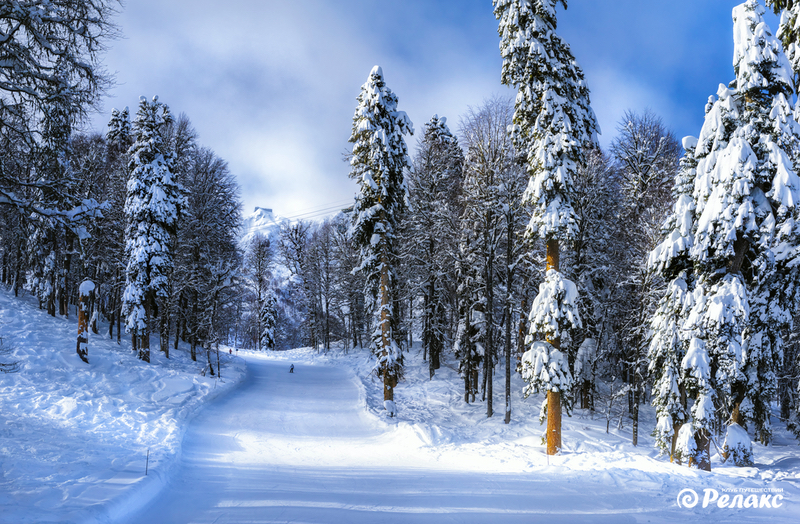 Кр Пол_фин.jpg